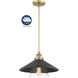 Segan 1 Light 15 inch Coal & Soft Brass (Painted) Mini Pendant Ceiling Light, Outdoor